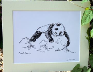 Original art illustrative print, Panda (10" x 12")
